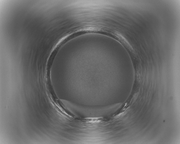 X0000066510484200603171156