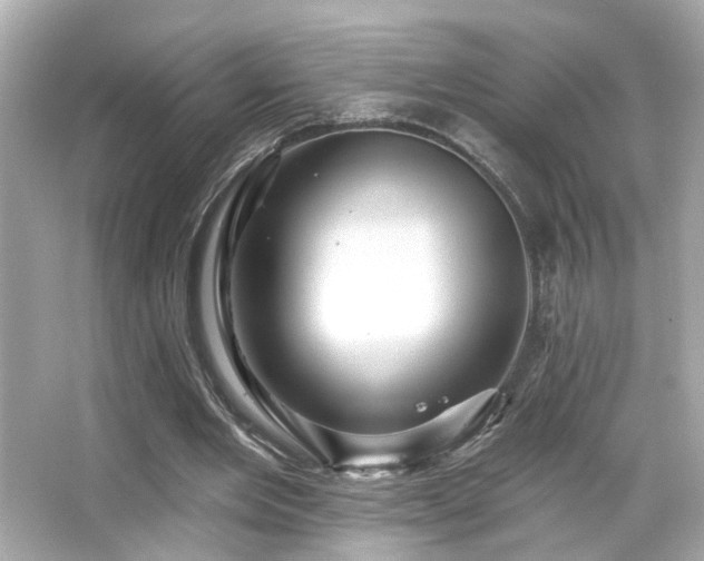 X0000066510485200603171156