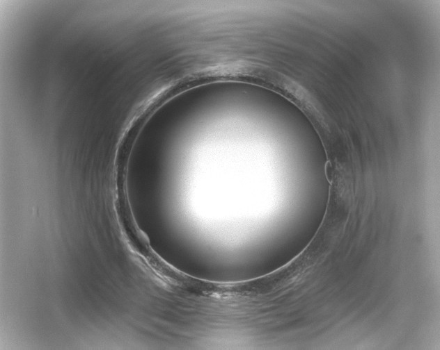 X0000066510486200603171156