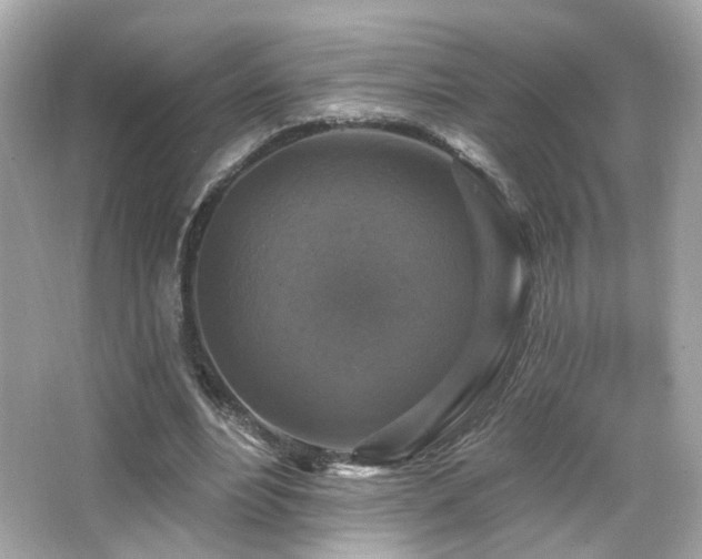 X0000066510488200603171156