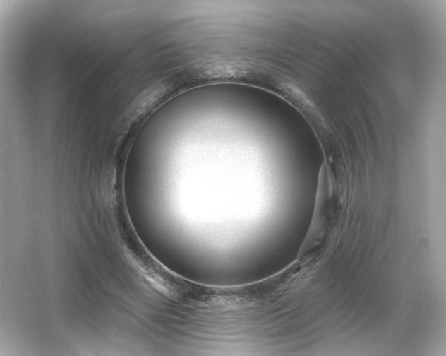 X0000066510490200603171156