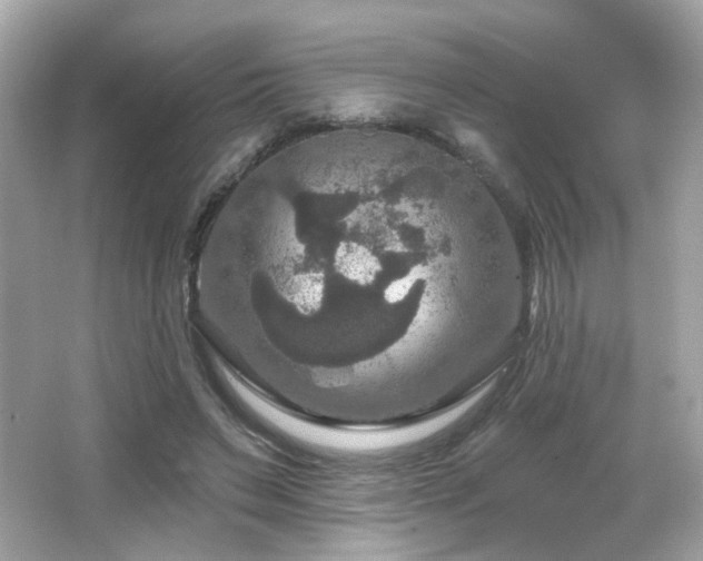 X0000066510495200603171156