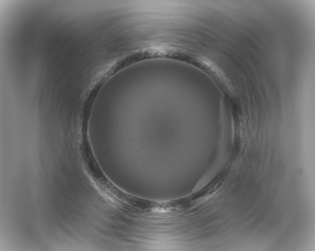 X0000066510496200603171156