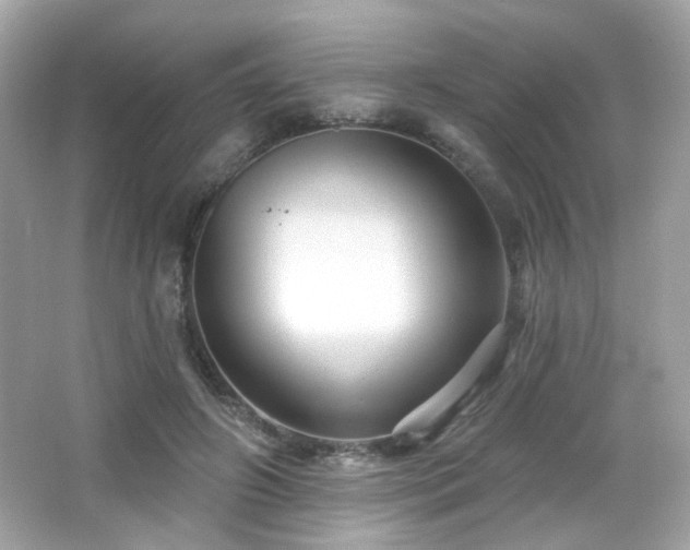 X0000066510498200603171156