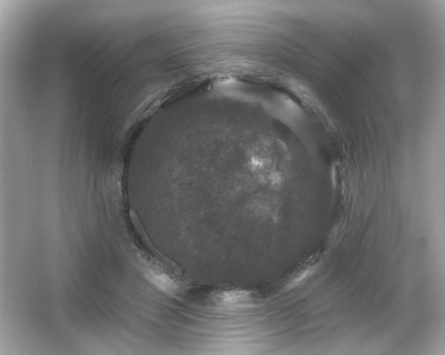 X0000066510501200603171156