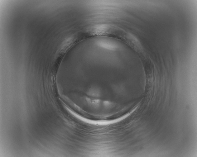 X0000066510503200603171156