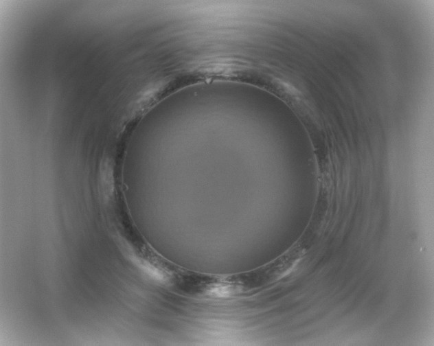 X0000066510504200603171155