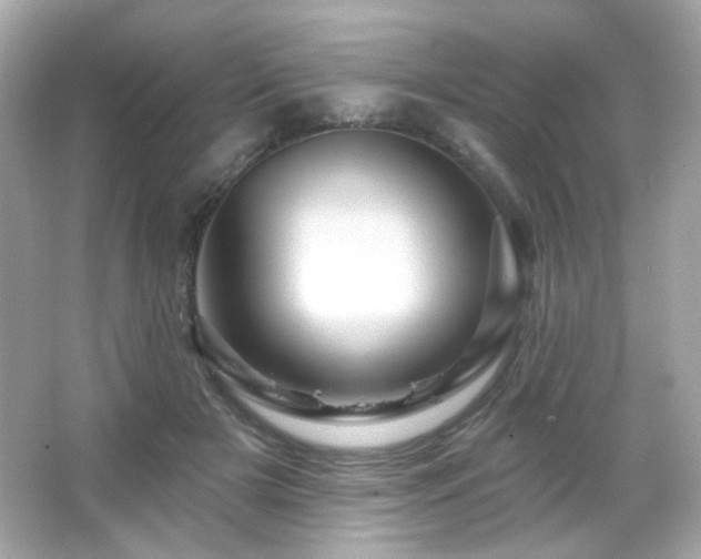 X0000066510505200603171155
