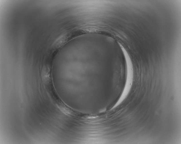 X0000066510507200603171155
