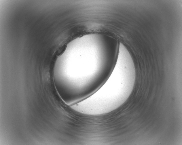 X0000066510508200603171155