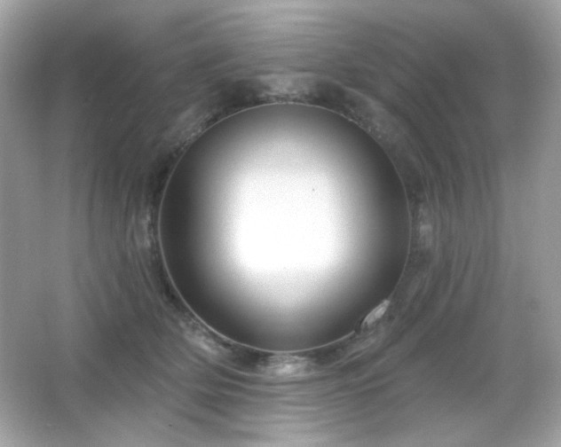 X0000066510514200603171155