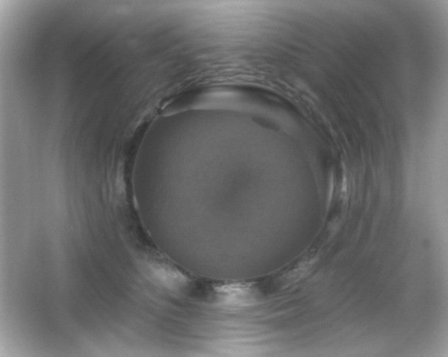 X0000066510516200603171155