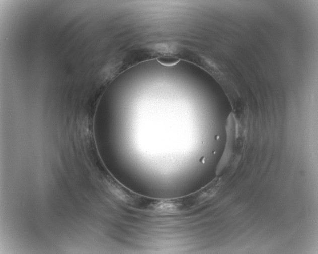 X0000066510518200603171155