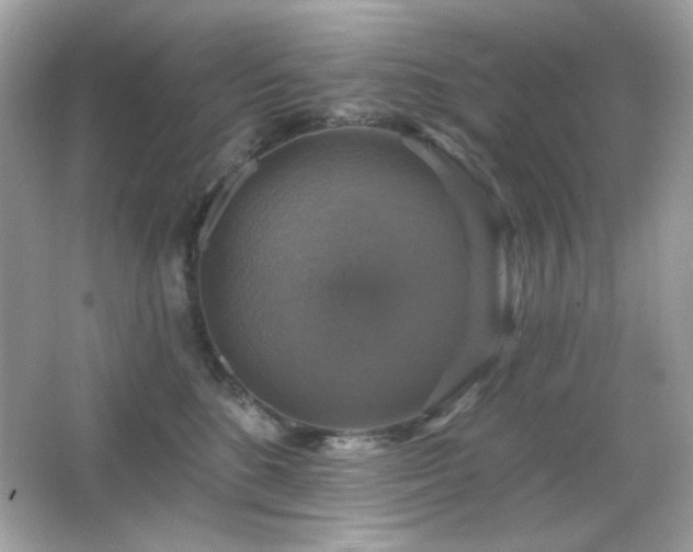 X0000066510520200603171155
