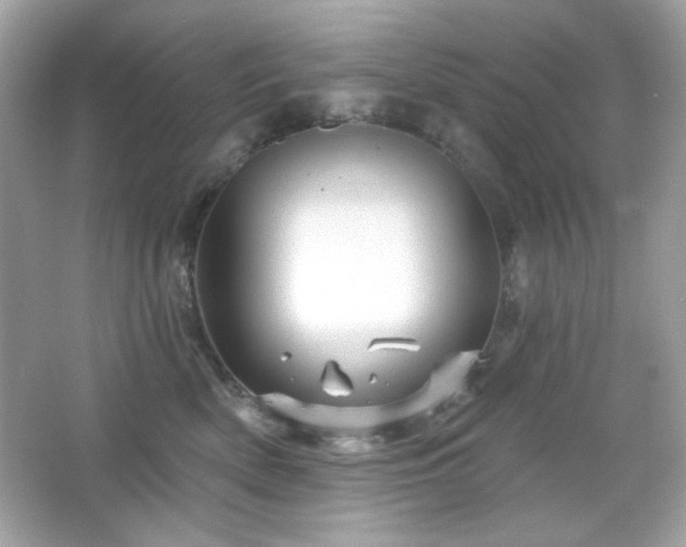 X0000066510522200603171155