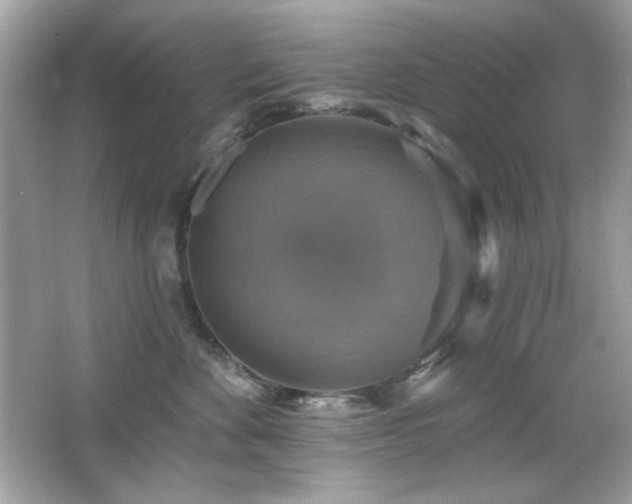 X0000066510524200603171155