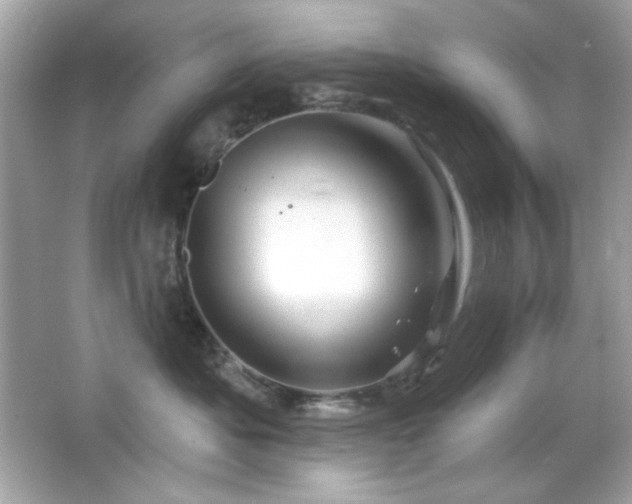 X0000066510525200603171155
