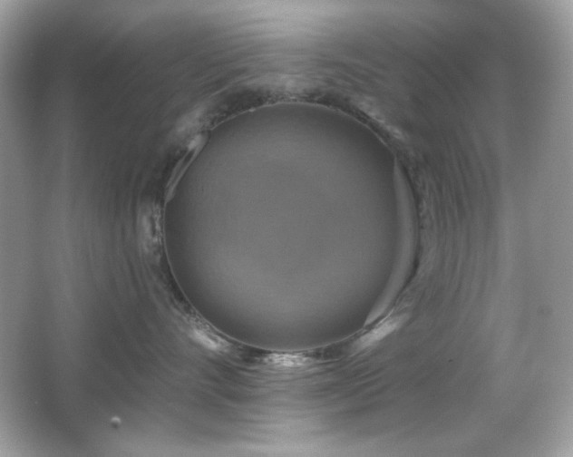 X0000066510528200603171155