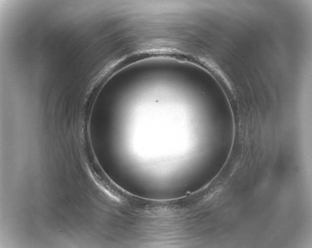 X0000066510533200603171154