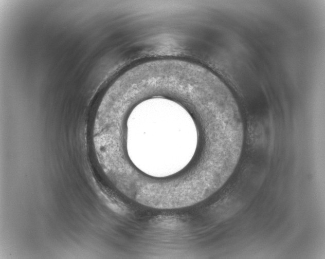 X0000066510534200603171154