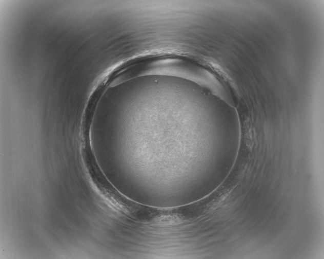 X0000066510536200603171154