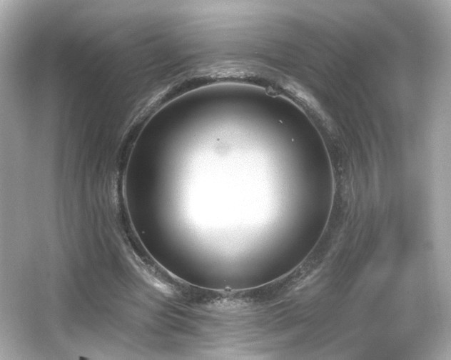 X0000066510537200603171154