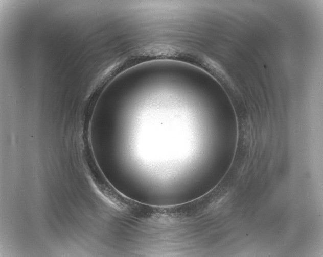 X0000066510538200603171154