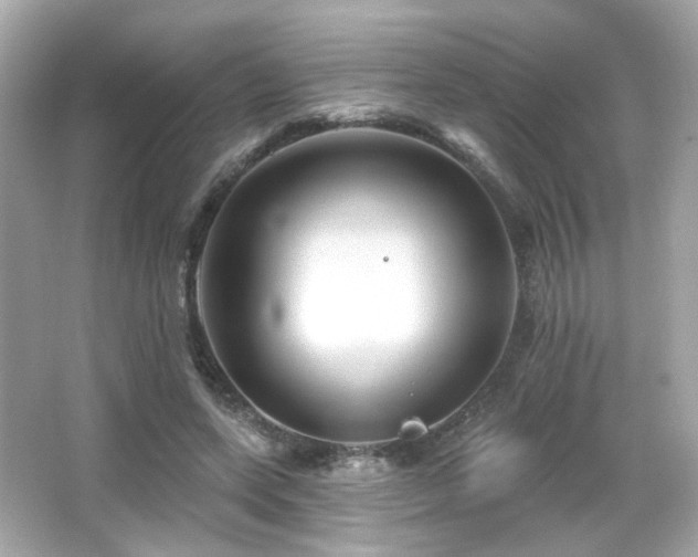 X0000066510543200603171155