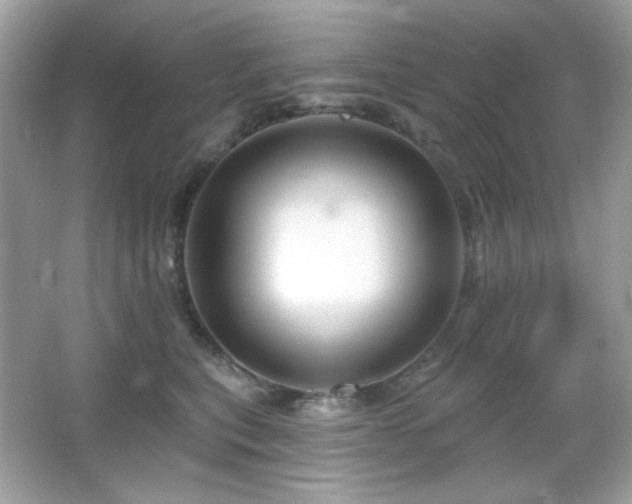 X0000066510567200603171155