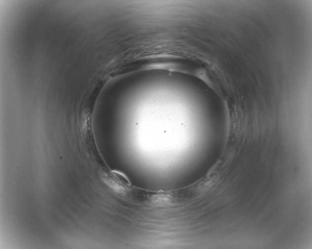 X0000066510574200603171155
