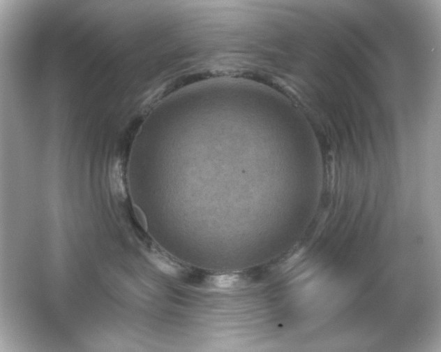 X0000066510575200603171155