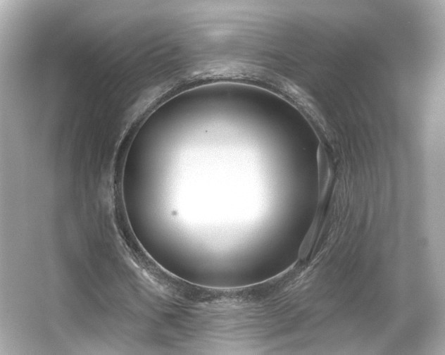 X0000066510578200603171154