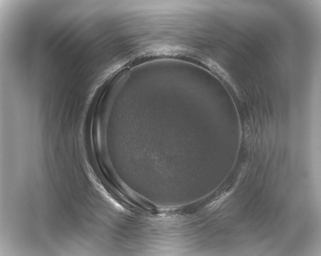 X0000066510581200603171154