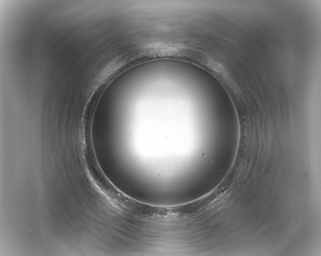 X0000066510582200603171154