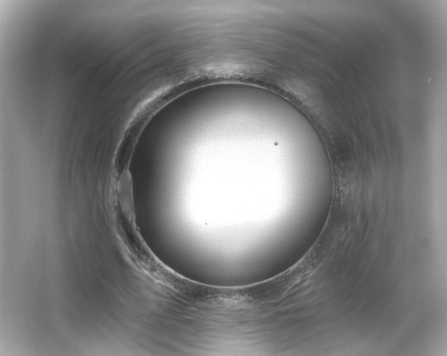 X0000066510583200603171154