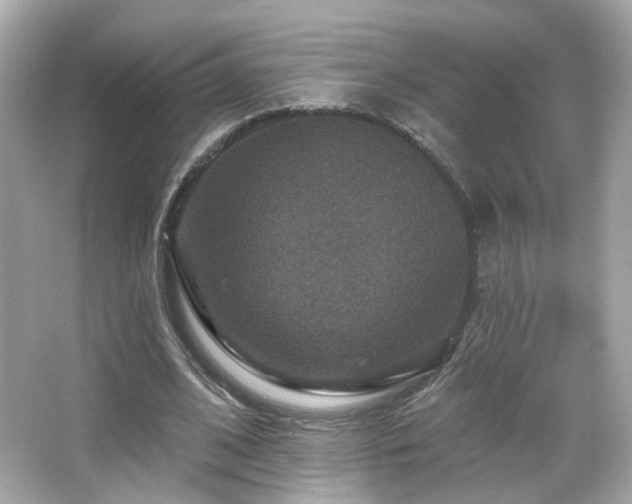 X0000066510584200603171154