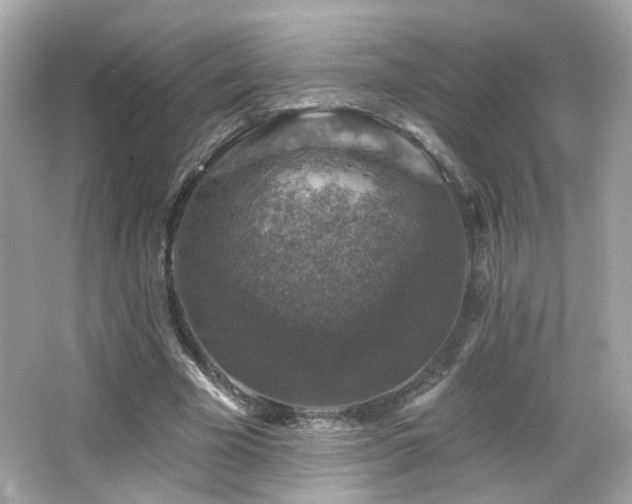 X0000066510585200603171154