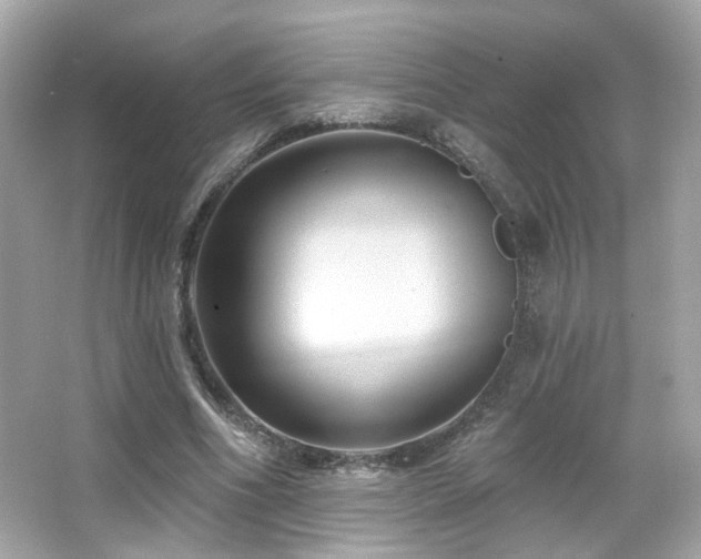 X0000066510586200603171154