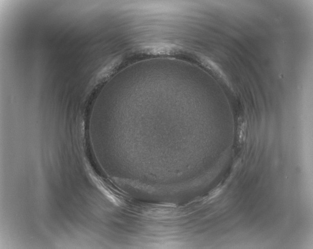 X0000066510589200603171154
