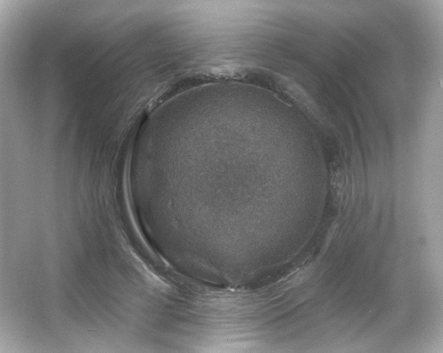 X0000066510593200603171154