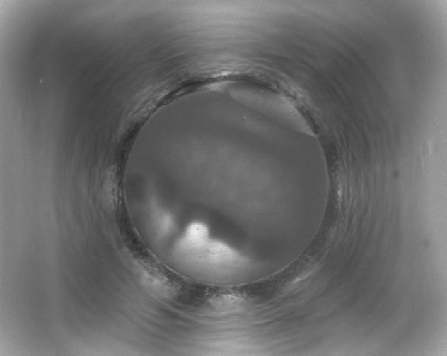 X0000066510594200603171154