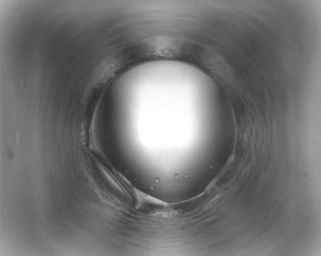 X0000066510595200603171154