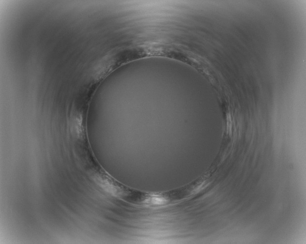 X0000066510610200603171154