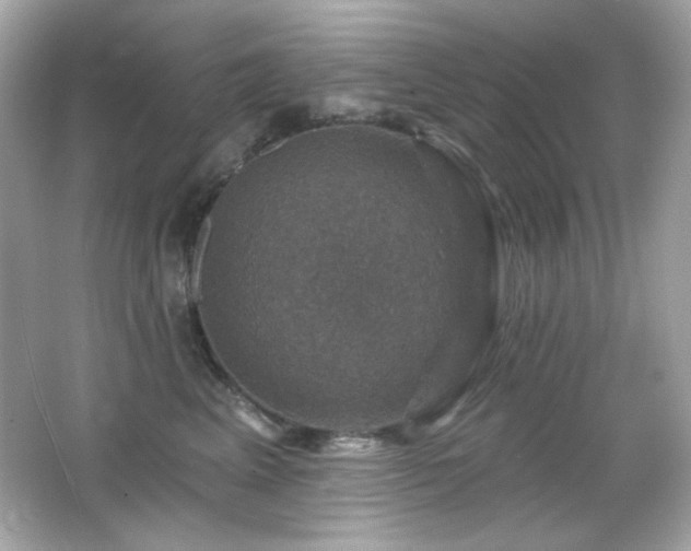 X0000066510617200603171154