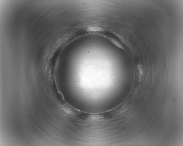 X0000066510619200603171154