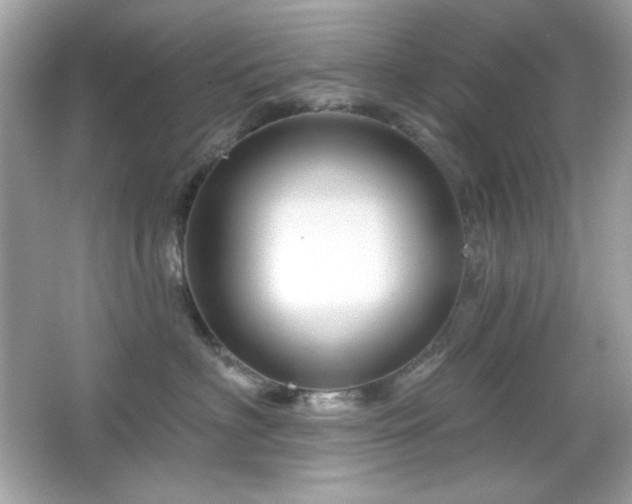 X0000066510622200603171153
