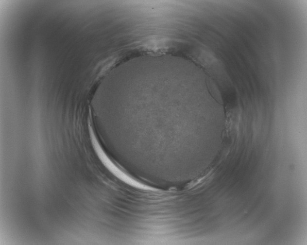 X0000066510623200603171153