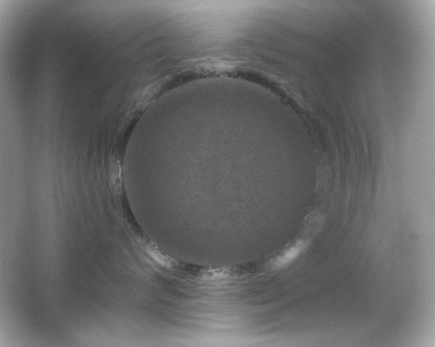 X0000066510624200603171153