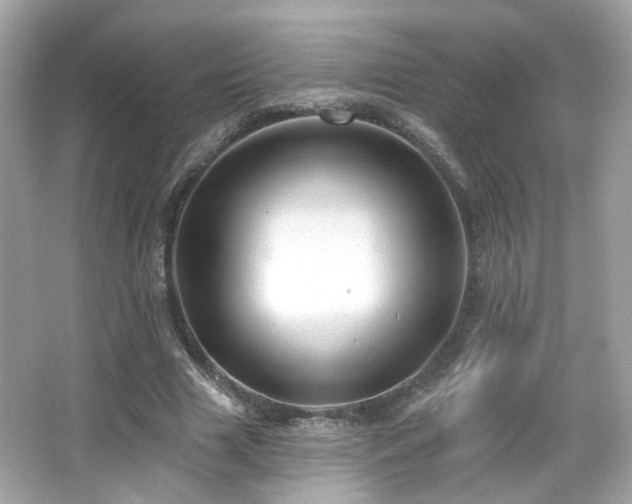 X0000066510633200603171153