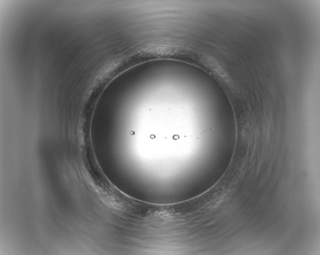 X0000066510635200603171153